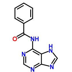 N6-苯甲?；汆堰? style=