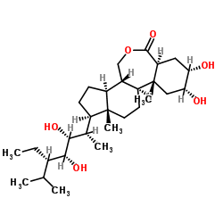 乙基蕓苔素內(nèi)酯
