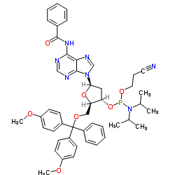 5'-O-(4,4'-二甲氧基三苯基)-N6-苯甲?；?2'-脫氧腺苷-3'-(2-氰乙基-N,N-二異丙基)亞磷酰胺