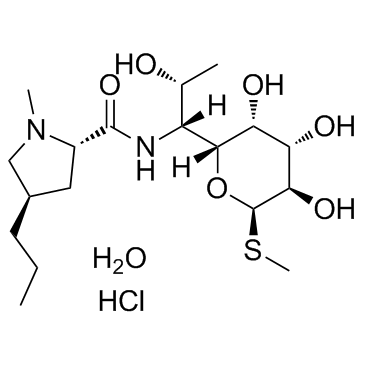 鹽酸林可霉素(一水物)