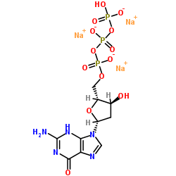 2'-脫氧鳥(niǎo)苷-5'-三磷酸三鈉鹽
