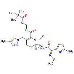 頭孢特侖新戊酯