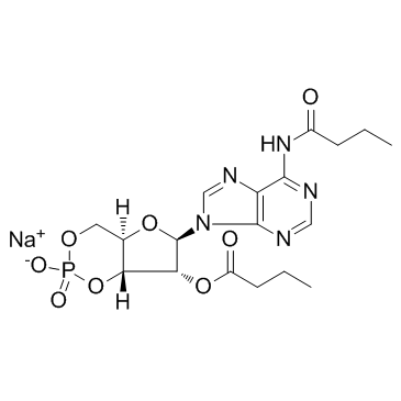 N6,2'-O-二丁?；佘?',5'-環(huán)磷酸鈉鹽