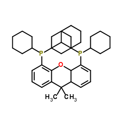 4,5-雙(二環(huán)己基膦)-二苯并吡喃衍生物