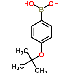 4-叔丁氧基苯硼酸